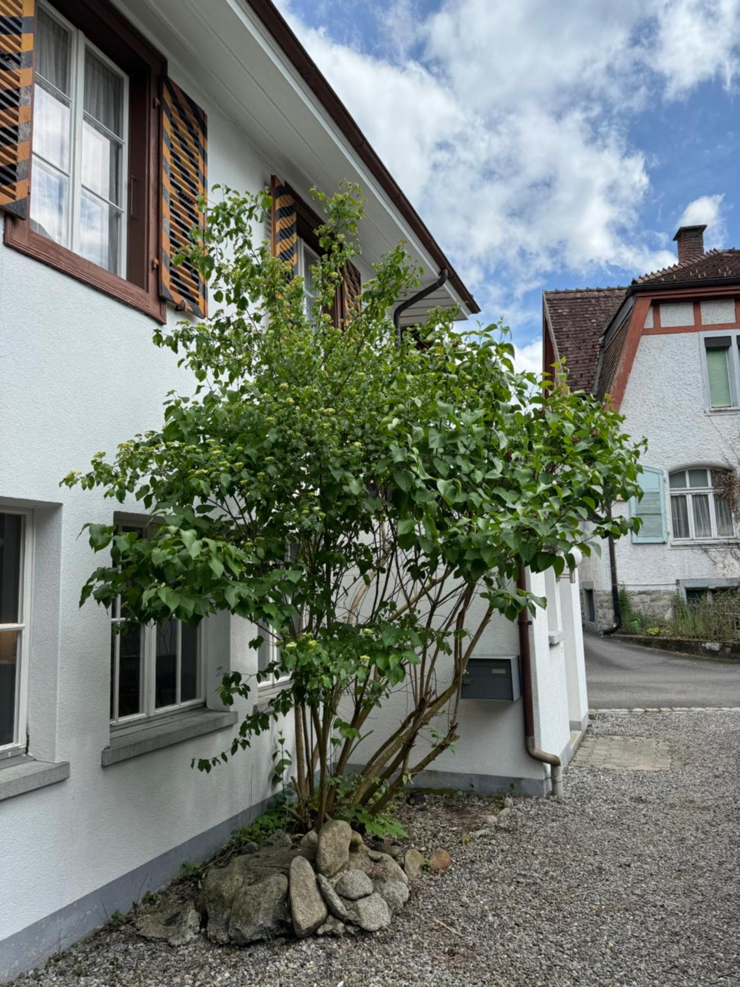 Garden House Interlaken